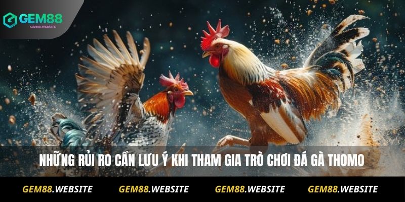 Đá Gà Thomo – Trực Tiếp, Lịch Thi Đấu Và Kèo Hấp Dẫn 4 Những rủi ro cần lưu ý khi tham gia trò chơi Đá Gà Thomo