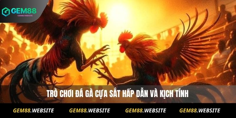 Đá Gà Cựa Sắt Online – Xem Trực Tiếp Và Soi Kèo Chuẩn 4 Đá Gà Cựa Sắt