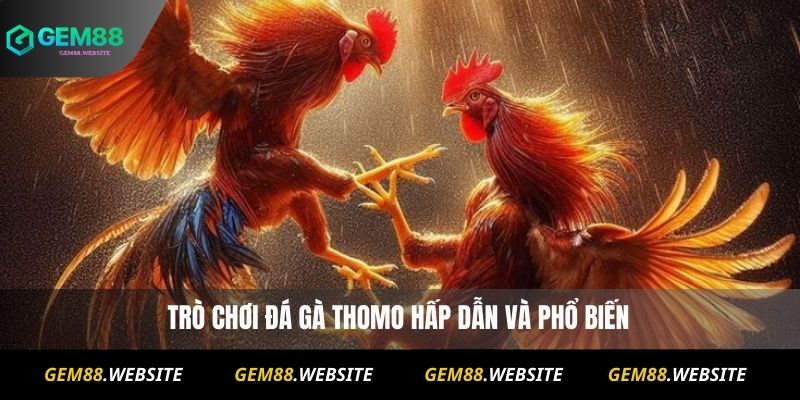 Đá Gà Thomo – Trực Tiếp, Lịch Thi Đấu Và Kèo Hấp Dẫn 5 Đá Gà Thomo