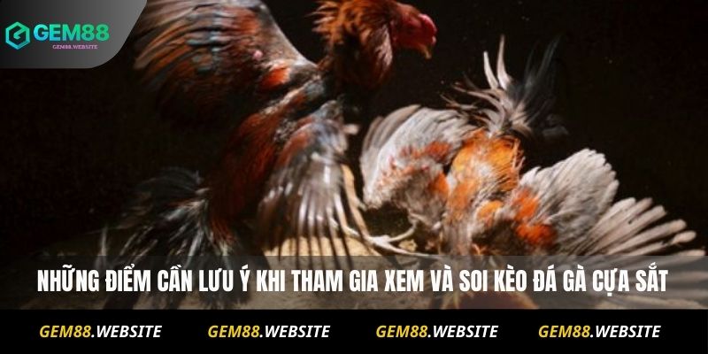 Đá Gà Cựa Sắt Online – Xem Trực Tiếp Và Soi Kèo Chuẩn 4 Những điểm cần lưu ý khi tham gia xem và soi kèo đá gà cựa sắt