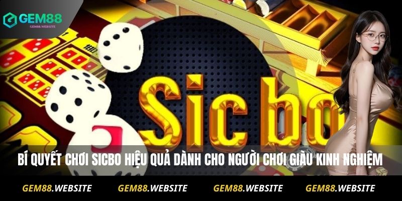 Mẹo Chơi Sicbo Cho Người Mới: Kinh Nghiệm Từ Chuyên Gia 3 Bí quyết chơi Sicbo hiệu quả dành cho người chơi giàu kinh nghiệm