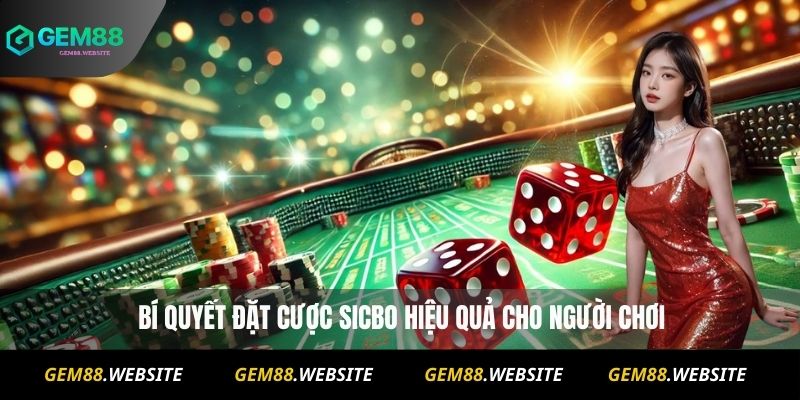 Mẹo Chơi Sicbo Cho Người Mới: Kinh Nghiệm Từ Chuyên Gia 10 Mẹo Chơi Sicbo