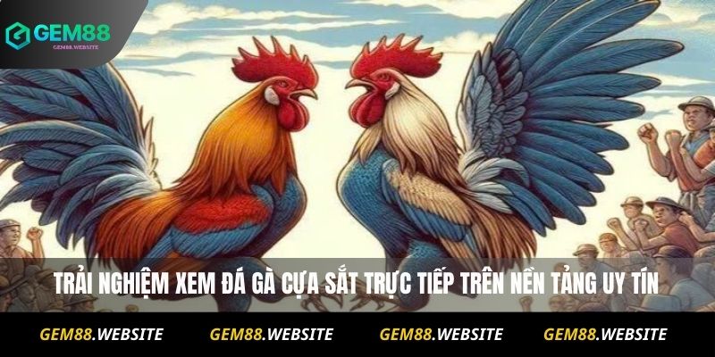 Đá Gà Cựa Sắt Online – Xem Trực Tiếp Và Soi Kèo Chuẩn 2 Trải nghiệm xem đá gà cựa sắt trực tiếp trên nền tảng uy tín